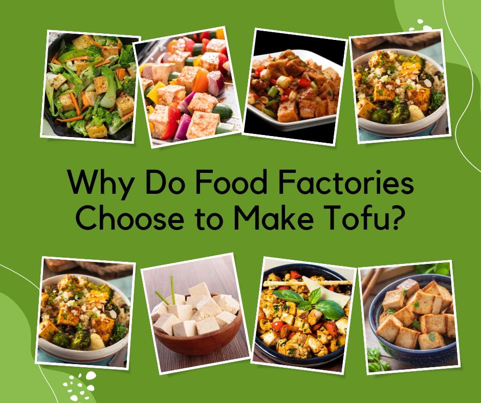 Fábricas de alimentos, fazer tofu, dietas à base de plantas